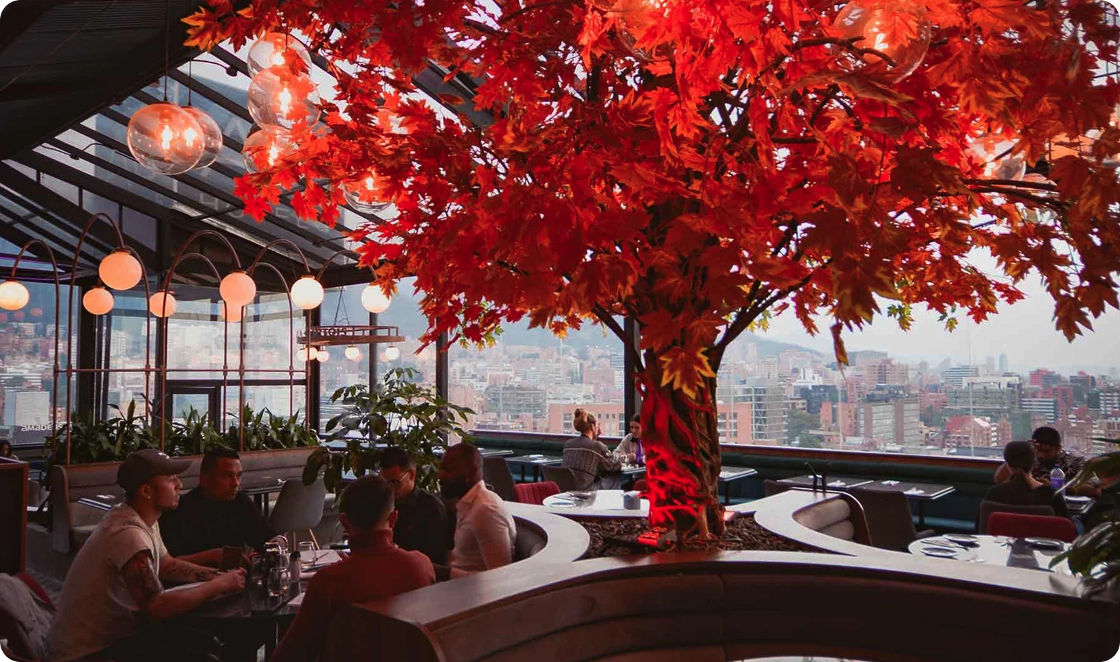 Leo - Bogotá, Colombia